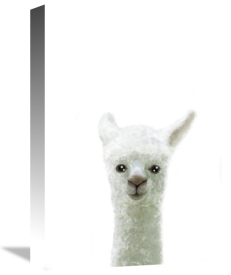 Uppsala Studio - Llama