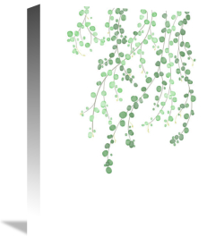 Uppsala Studio - Birch Tree