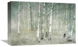 Nel Talen - Morning Silence