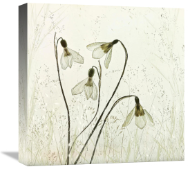 Nel Talen - Springtime!