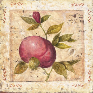 Martin - A Pomegranate Page