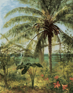 Albert Bierstadt - Palm Tree, Nassau 1892