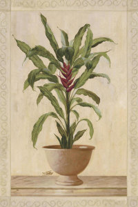 Welby - Potted Palm II