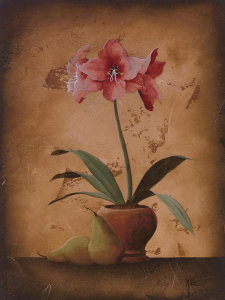 Wilbur - Floral Textures I