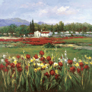 Hulsey - Red Flower Field