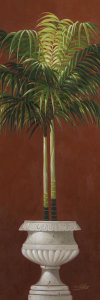 Welby - Potted Palm Red II