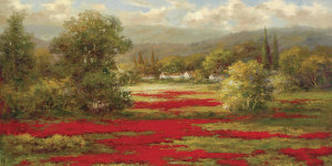 Hulsey - Poppy Village