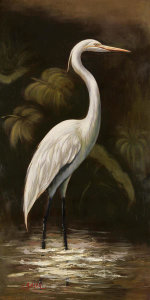 Smith - Brown Egret