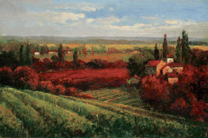 Matt Thomas - Tuscan Fields of Red