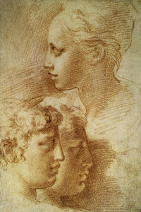 Parmigianino - Three Profiles