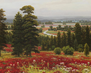 Hilger - Blooms Above the Valley