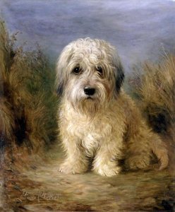 Lilian Cheviot - A Dandie Dinmont