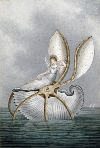 Amelia Jane Murray - A Fairy Resting On a Shell