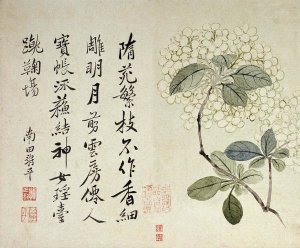Yun Shouping - Hydrangeas