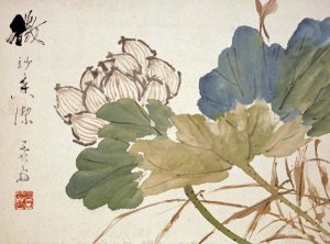 Xu Gu - Lotus