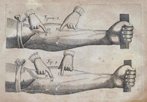 William Harvey - Discovery of The Circulation of Blood