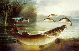 Henry Leonidas Rolfe - A Kingfisher and a Pike Capturing Perch