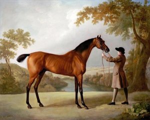 George Stubbs - Tristram Shandy