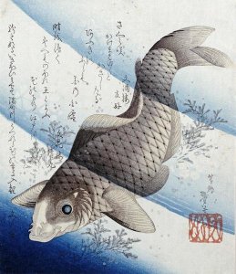 Katsushika Taito II - Carp Among Aquatic Leaves