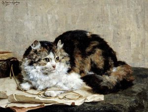 Charles Van Den Eycken - A Tabby Cat