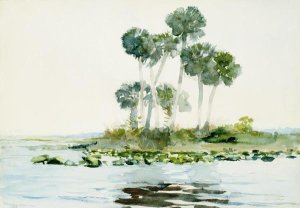 Winslow Homer - St. Johns River, Florida