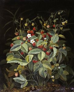 Otto Diderich Ottesen - Wild Strawberries