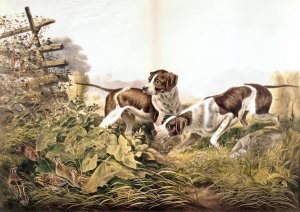 Currier and Ives - American Field Sports. "On a Point."