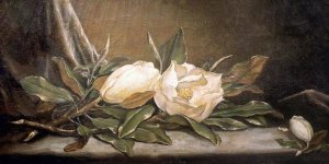 Martin Johnson Heade - White Magnolias On a Blue Cloth