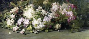 Adelaide Coburne Palmer - Mountain Laurel