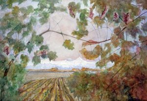 Eduardo Audivert - Amongst the Vineyards