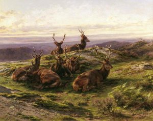 Rosa Bonheur - Stags at Rose