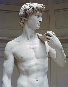 Michelangelo - David (Detail I)