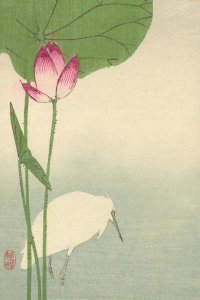 Baison - White heron and lotus, 1894