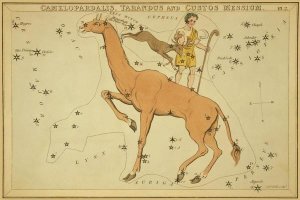 Jehoshaphat Aspin - Camelopardalis, Tarandus and Custos Messium, 1825