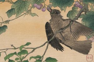 Kuwagata Kesai - Bird Eating a Grape