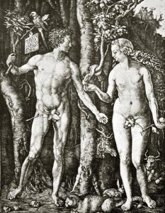 Albrecht Durer - Adam And Eve