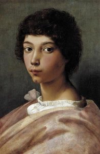 Raphael - Portrait Of A Young Man