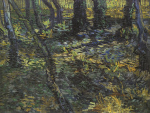 Vincent Van Gogh - Undergrowth