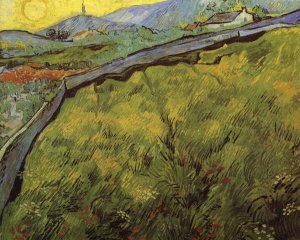 Vincent Van Gogh - Field Of Spring Wheat At Sunrise