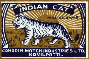 Phillumenart - Indian Cat