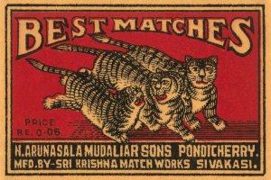 Phillumenart - Three Tiger - Best Matches