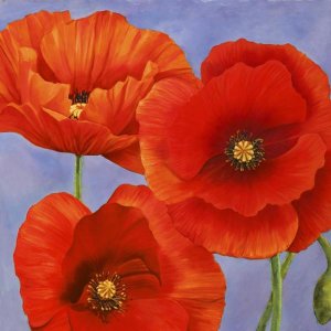 Luca Villa - Dance of Poppies II