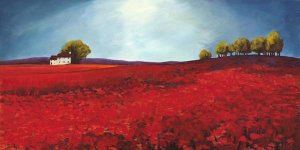 Philip Bloom - Field of Poppies