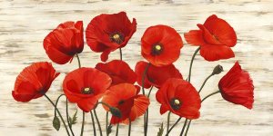 Serena Biffi - French Poppies