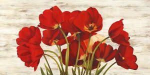 Serena Biffi - French Tulips