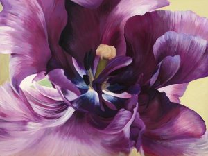 Luca Villa - Purple tulip close-up