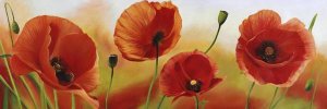 Luca Villa - Poppies in the wind