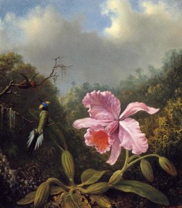 Martin Johnson Heade - Fighting Hummingbirds With Pink Orchid