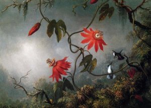 Martin Johnson Heade - Passion Flowers And Hummingbirds