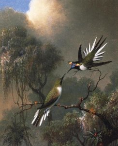 Martin Johnson Heade - Two Sun Gems On A Branch